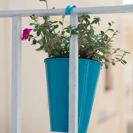 Residenza Maria Antonietta - 50 Metri Dal Mare 招待所